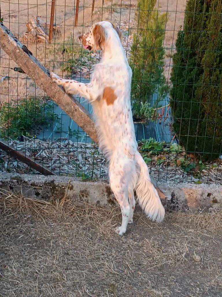 S'kierra des Brutes de Cel