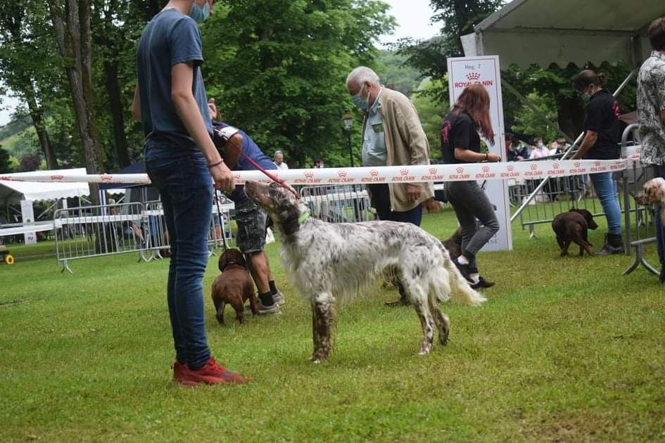 des Brutes de Cel - Exposition de joinville 27 juin 2021