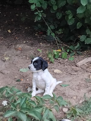 Aiyana